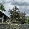 cuthethoi.99