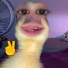 thwngyeuanh