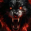 user8462456004690