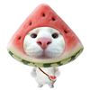 ozan_jmk