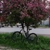 krasno_armeets