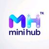 mini hub