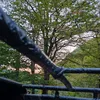 lera56_23