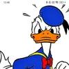 csvgy1355