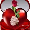 user98511551231302