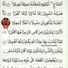 user7261171868861