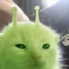 alienn608