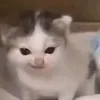 noobthanghuh