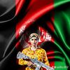 hassanrhmany