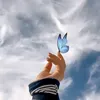 hhggflzp6bf