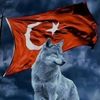mevlt.sayar4
