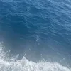 .obssesion1