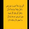 user533370830843801
