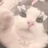 trxiflipsy