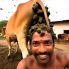 atommuliiiish_in_my_dih