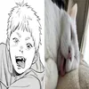 hhihhikaru