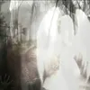 diamoise8