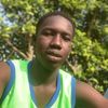 kataki254.lm