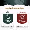 amirmohammadi796