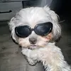 whos.kikah