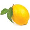the_famous_lemon1