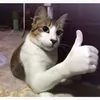 assistant.ia