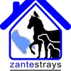 Zante Strays