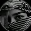 board.me.jao