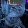 meow_oss1