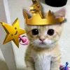 sztywny.gicior.fn