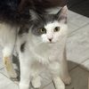 badkitties777