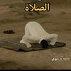user273627710