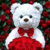 umariaser32131220311974