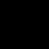 sikmisimhayati