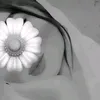 nhn2008nhn