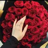 dll4aa_0