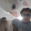 elmandelosgatos