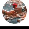 user8702072905410