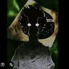 zzzphobos21