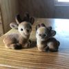 hiitsdeer