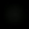 vv__13l