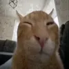 alex_tukku