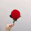 anik.satak