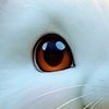 stalker_alert0754