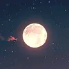 dreamkorrryyy