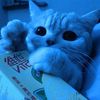 antwan_060