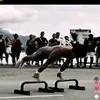 contaaleatrio54