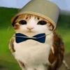 sir3__0_0