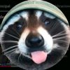 towi_de_twmu