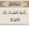 bushra.amraja.amr